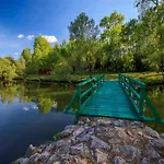Villa In Ripenda Kras With Pool And Sauna Labin (Istria)