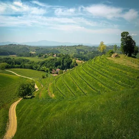 Vintage In Istria Near Sea Labin (Istria)