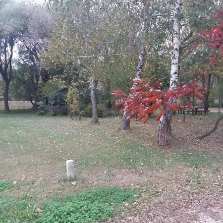 Βίλα In Ripenda Kras With Pool And Sauna